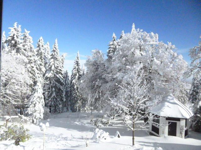 Pension Haus Am Waldesrand Oberhof  Bagian luar foto